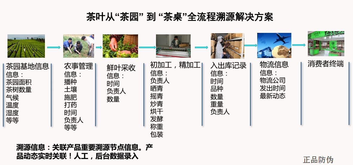 新澳门内部一码精准公开,可靠性计划解析_8DM79.568