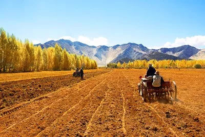 农村土地改革最新动态及其深远影响，一种观点的深度解析