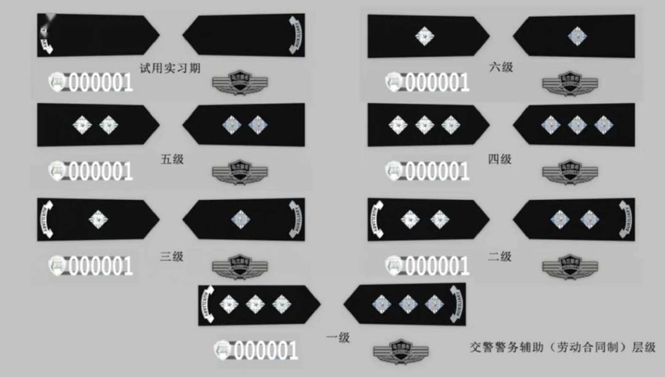 最新辅警肩章级别图,最新辅警肩章级别图——科技重塑身份荣耀，智能时代的警界新星