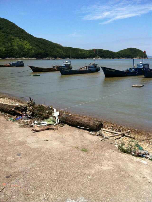 田岙岛最新资讯更新