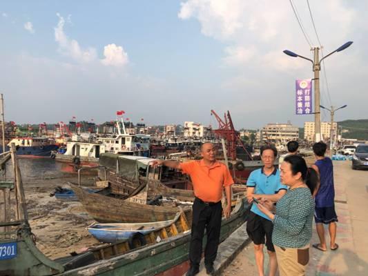 雷州台风最新消息实时更新与防护提示，安全不可松懈！