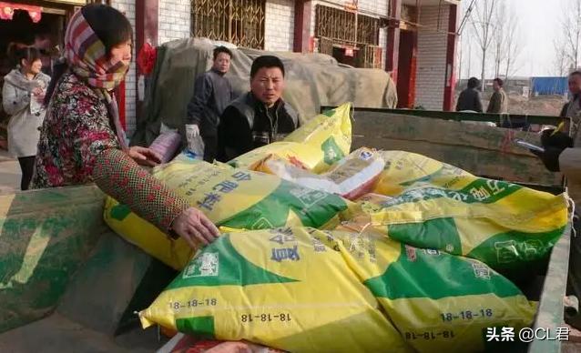 全球粮食市场最新动态，现状与未来展望