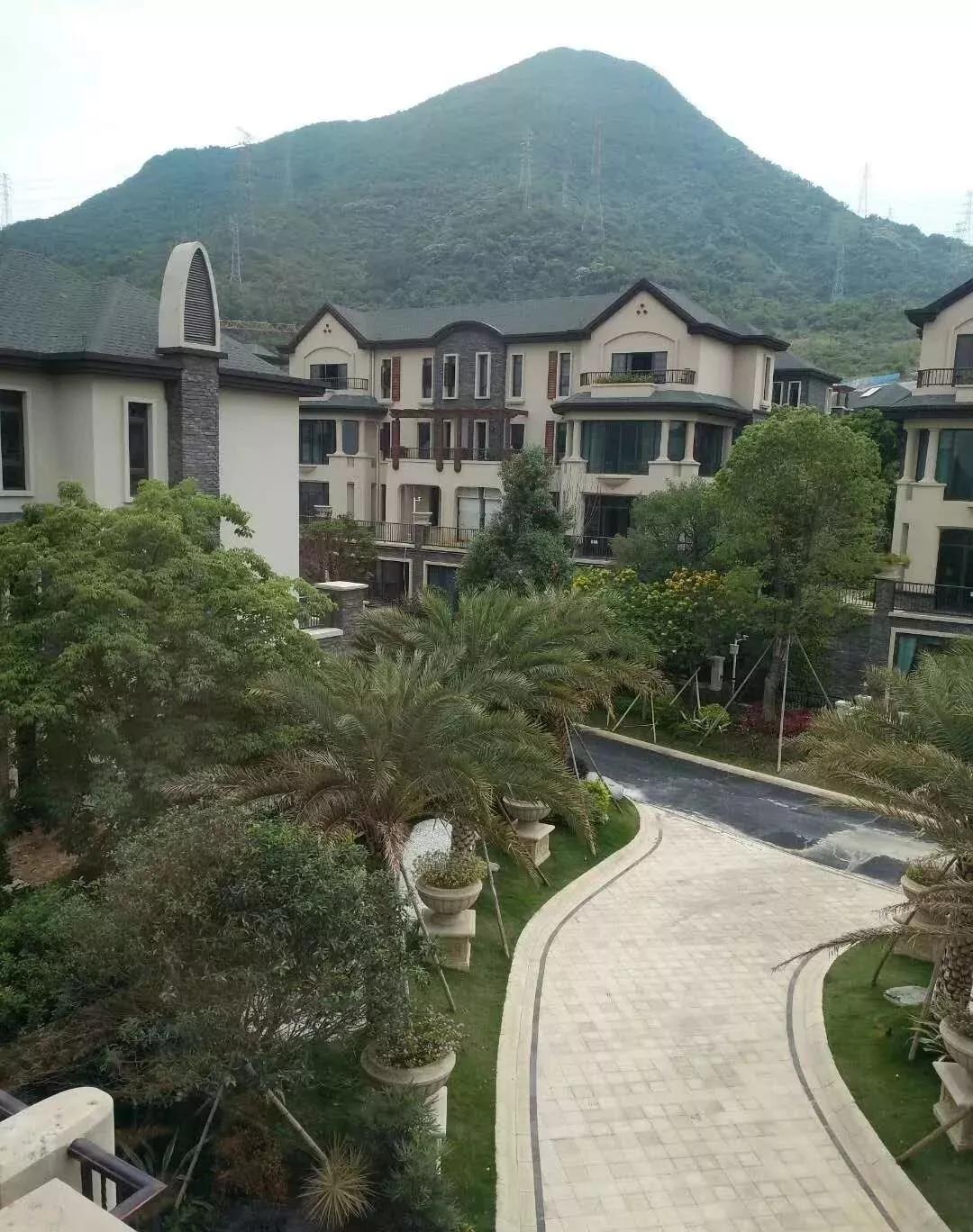 行业资讯 第46页