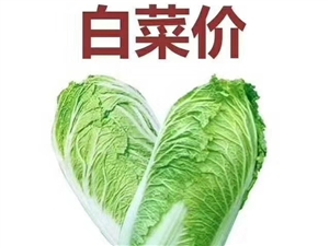 白菜最新价格行情,白菜最新价格行情，一场寻找内心平静的绿色之旅