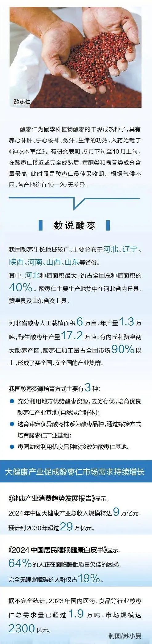 🌟炒酸枣仁价格行情解析，最新行情信息一网打尽！2023年市场动态揭秘！