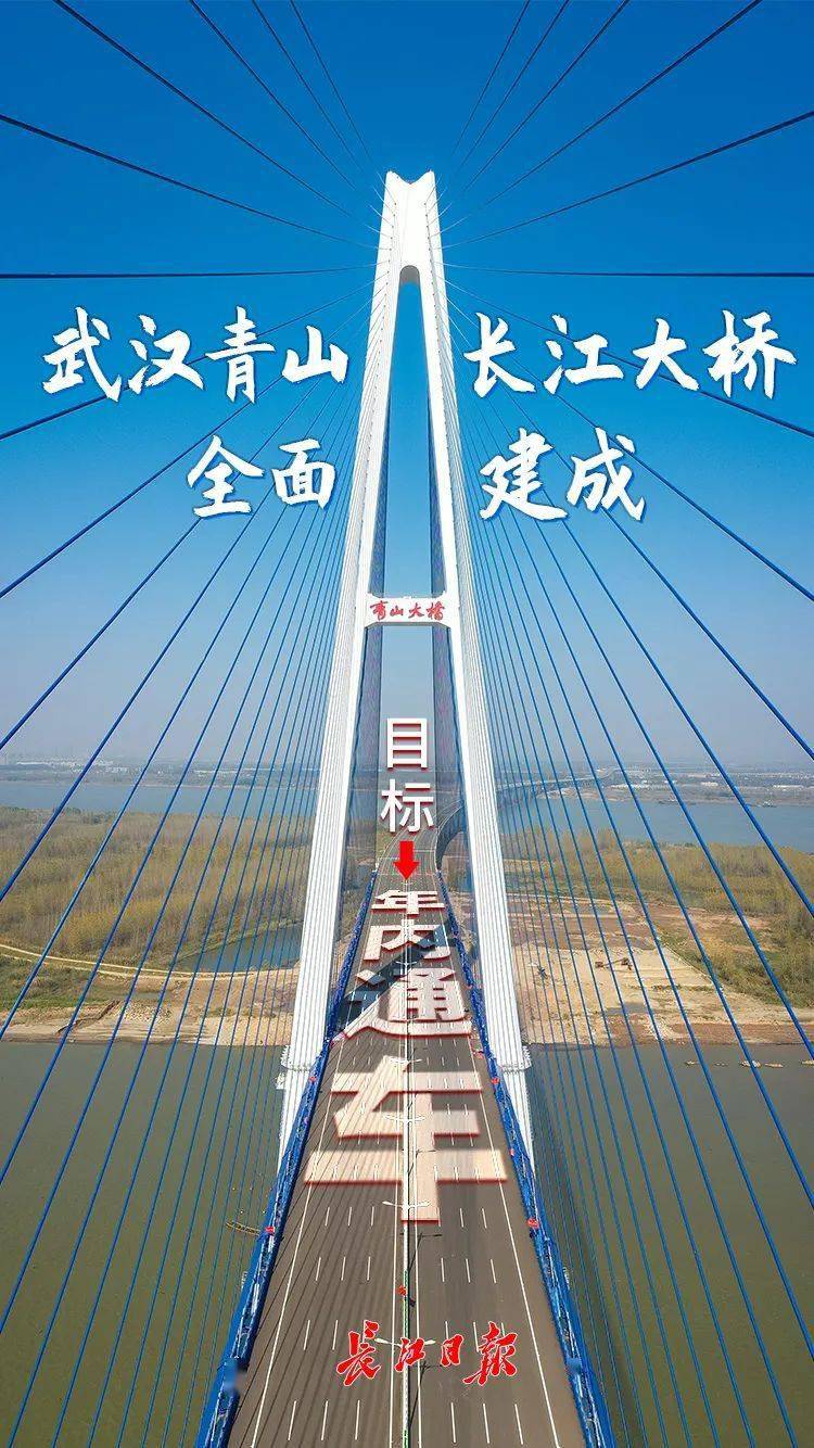 青山长江大桥最新动态更新