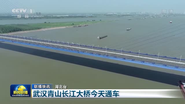 武汉青山大桥最新动态与小巷中的意外发现